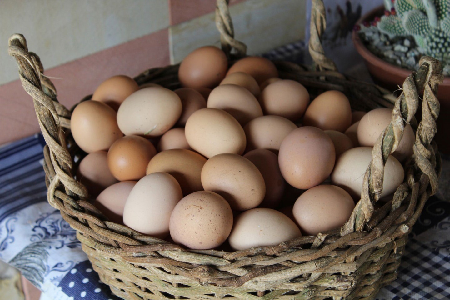 cesta-de-ovos